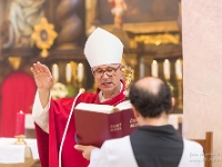 Fotografie Flachs Říčany - Masarykovo nám. 155/9 - Říčany fotograf  Rudolf Flachs - www.flachs.cz tel. 602 341 972  záběr číslo: 2019 06 30 0210 : fotograf Rudolf Flachs - www.flachs.cz - +420 602 341 972